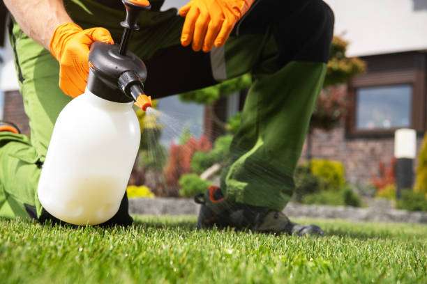 Flea Control Services in Ceres, CA