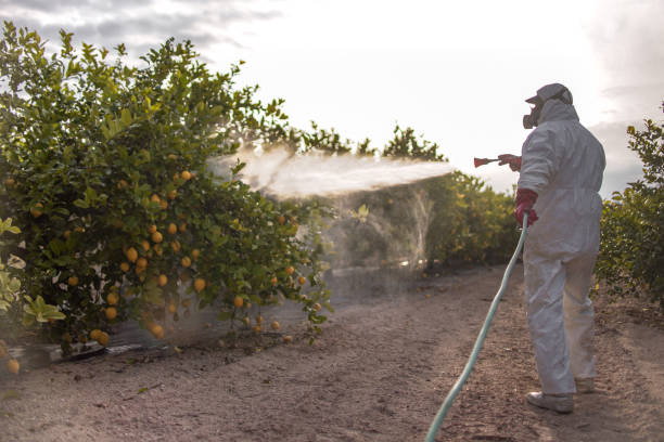 Professional Pest Control in Ceres, CA