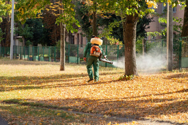 Best Mosquito Control Services  in Ceres, CA