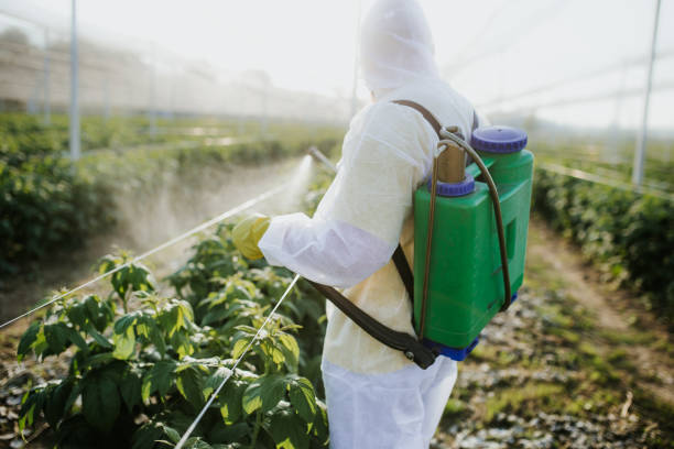 Best Flea Control Services  in Ceres, CA